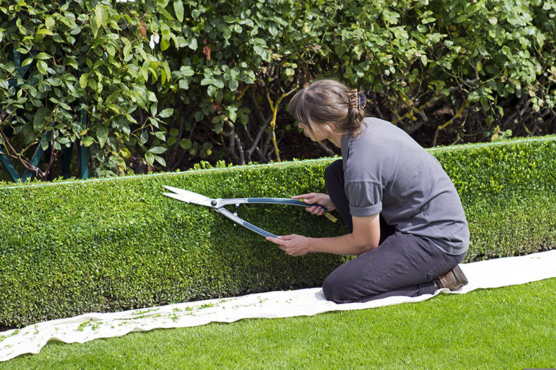 Gartenpflege in Rosenheim, Großkarolienenfeld oder Bad Aibling